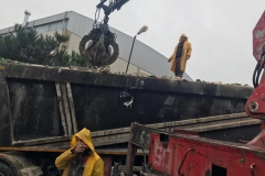 IMG-20190407-WA0017