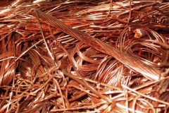IMG-20190411-WA0012